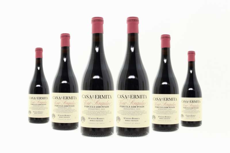 CASA DE LA ERMITA PARCELA LOS PINOS