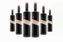 CASA DE LA ERMITA INFILTRADO